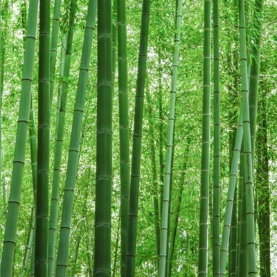 ゴールデンウイークのお休みのご案内